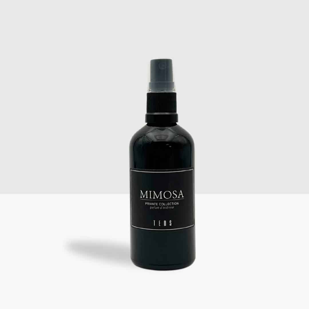 Carspray Glas 100ml