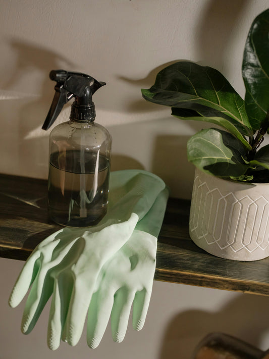 MAAK JE HUIS FRIS MET DE GEURFABRIEK ANTIFORMULE SPRAY!