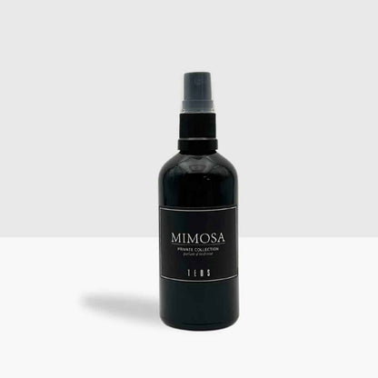 Carspray Glas 100ml
