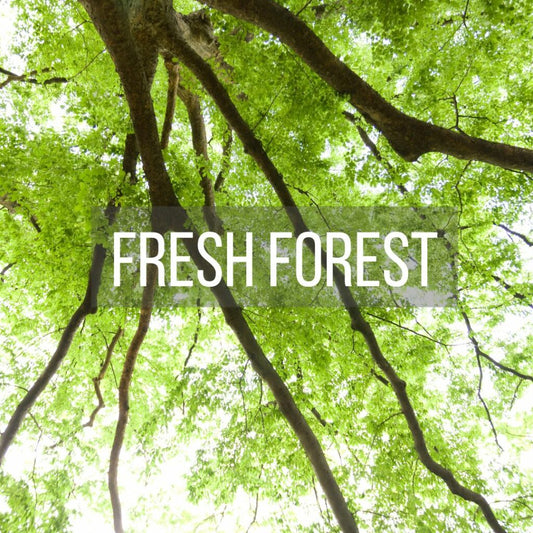 Fresh Forest